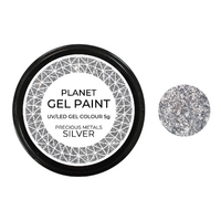 Planet Gel Paint - Silver