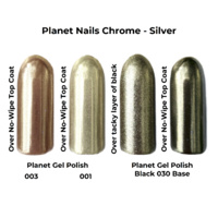 Chrome Effect Mirror Pigment - Silver - 3G