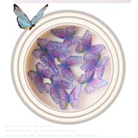 Butterfly in Jar #13