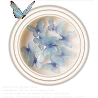 Butterfly in Jar #16