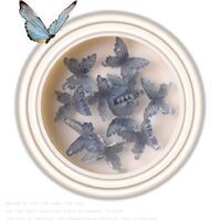 Butterfly in Jar #17